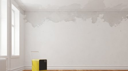 Jakie zagrożenia stwarza grzyb na ścianie ?